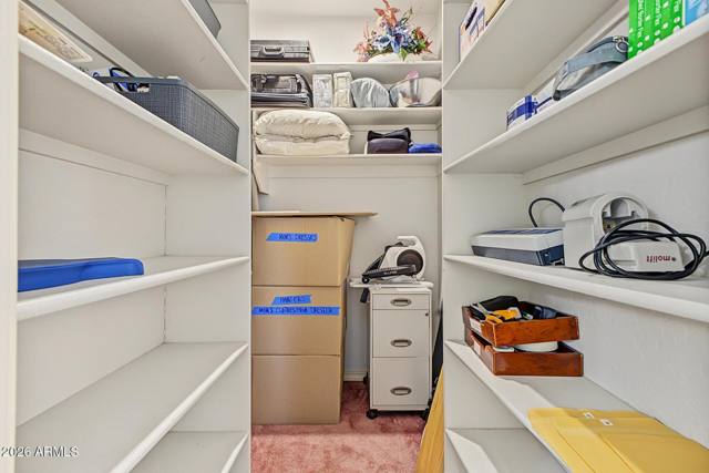 Primary walk-in closet with shelving